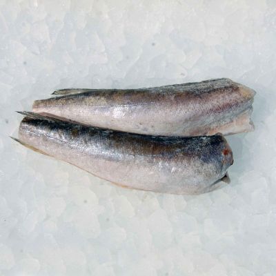 Šaldytos Argentininės jūrinės lydekos b/g b/u, 200/400, (dėžėje 25kg), kg